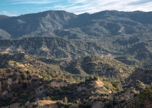 Feds Moving at Full Throttle to Reverse Roadless Rule Protecting National Forests