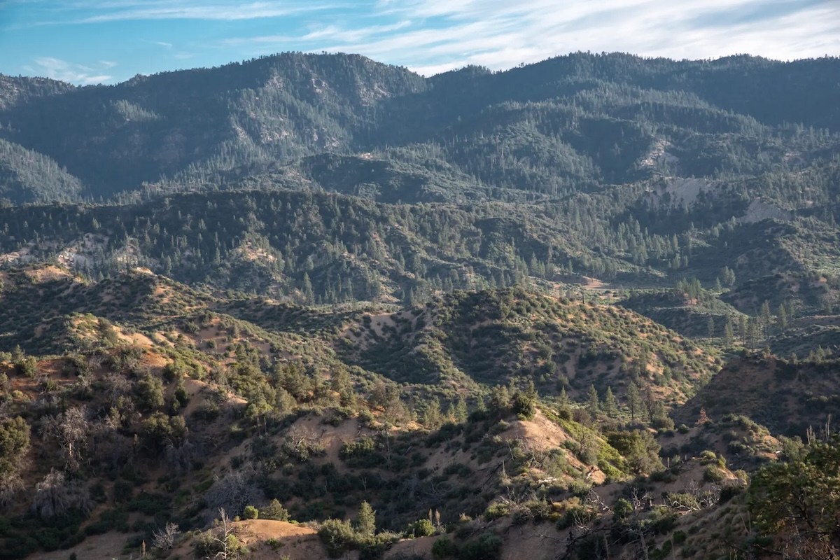 Feds Moving at Full Throttle to Reverse Roadless Rule Protecting National Forests