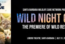 Benefit Screening for SBWCN: “Wild Night Out “