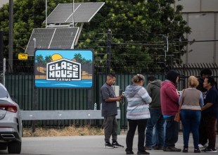 California Cannabis Companies Thought Trump Would Be an Ally. Then the Raids Happened