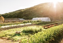 Bridging the Gap Between Farms and Funding