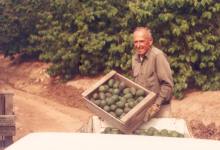 Talk & Talkback Speaker Series with  Rob Crisell – “Avocado Land: The History of California’s Avocado Industry”