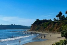 Ocean Ducks Sunday Morning Swim
