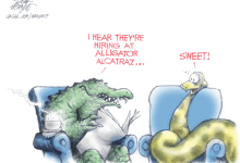 The Other Side of the Immigration Debate