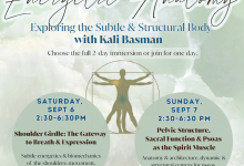 Energetic Anatomy: Subtle & Structural Body
