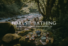 Forest Bathing & Tea
