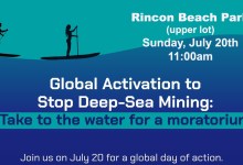 Deep Seas Under Threat