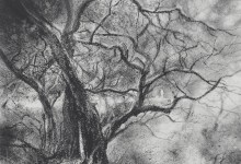 Toska Charcoal Meditations by Olga Bologo