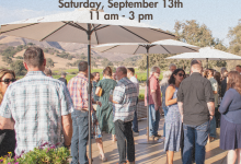 September Wine Release