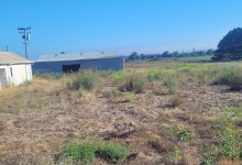 What Will Become of Lompoc’s Bodger Meadows?