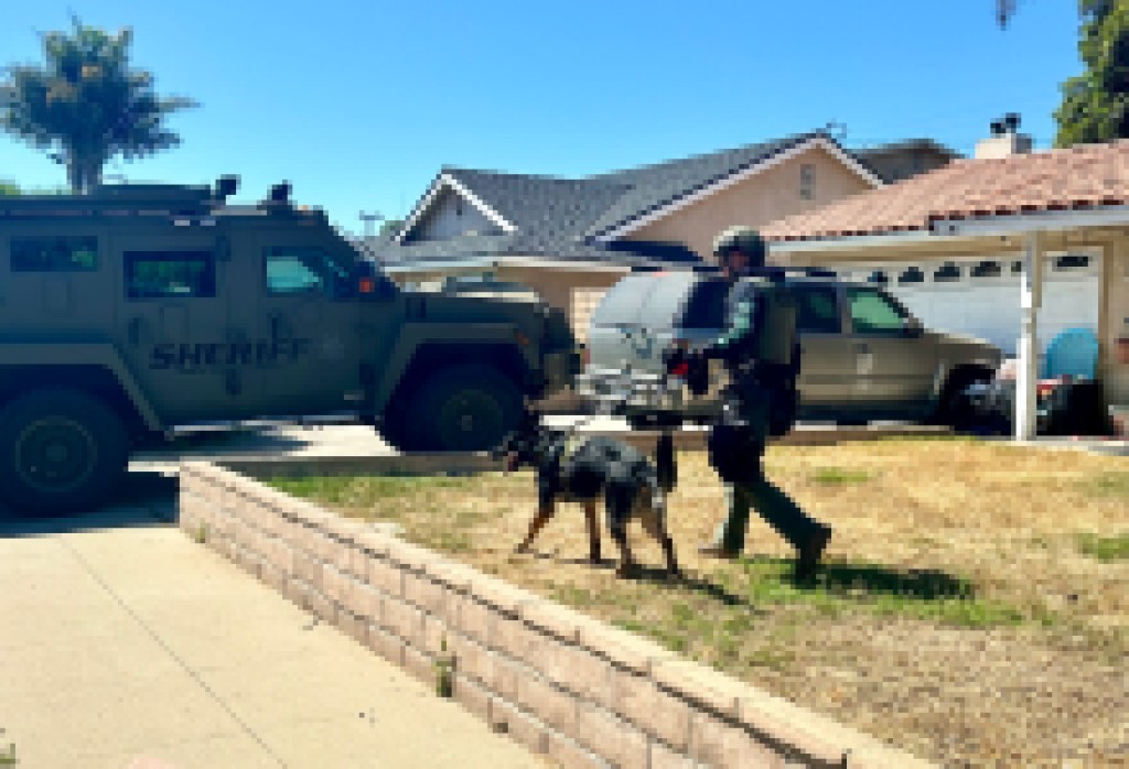 Wanted Suspect Safely Apprehended Following Standoff