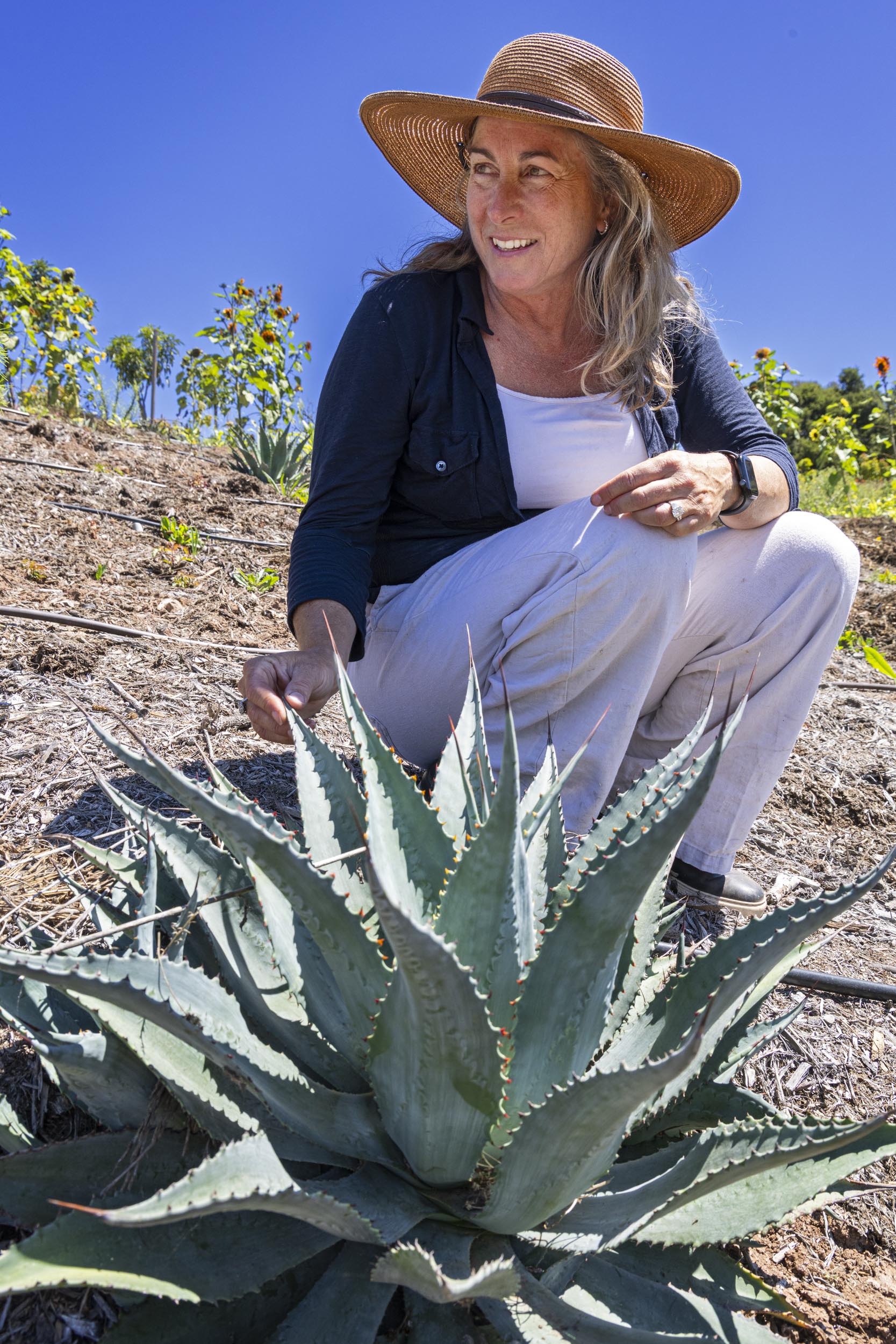 Soulabo mana's farm 4周年 agave Kabusemono | CARAVANTEAM.COM