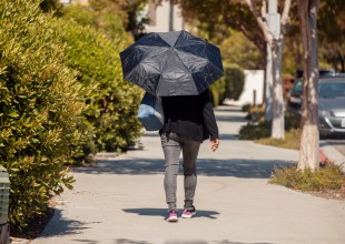 Copying Our Sweating Process Can Cool Buildings