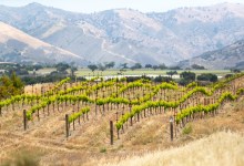 Demetria Estate Boosts Biodynamic Roots