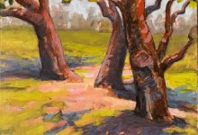Gallery Los Olivos – “It Begins with Light”
