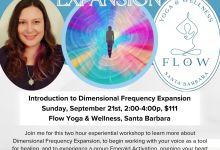 Introduction to Dimensional Frequency Expansion