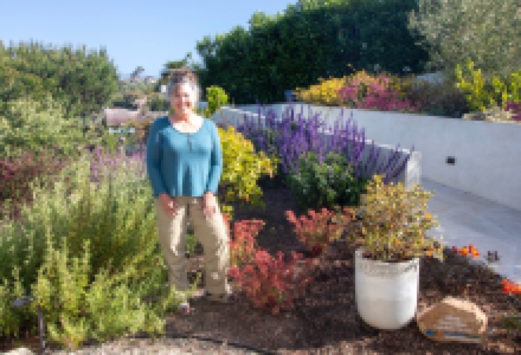¡La Maravilla de Montecito Triunfa en el Concurso de  Reconocimiento de Jardines WaterWise!