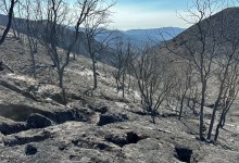 Gifford Fire Holds Steady at 132,605 Acres as Containment Grows to More than Three-Quarters