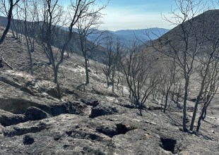 Gifford Fire Holds Steady at 132,605 Acres as Containment Grows to More than Three-Quarters