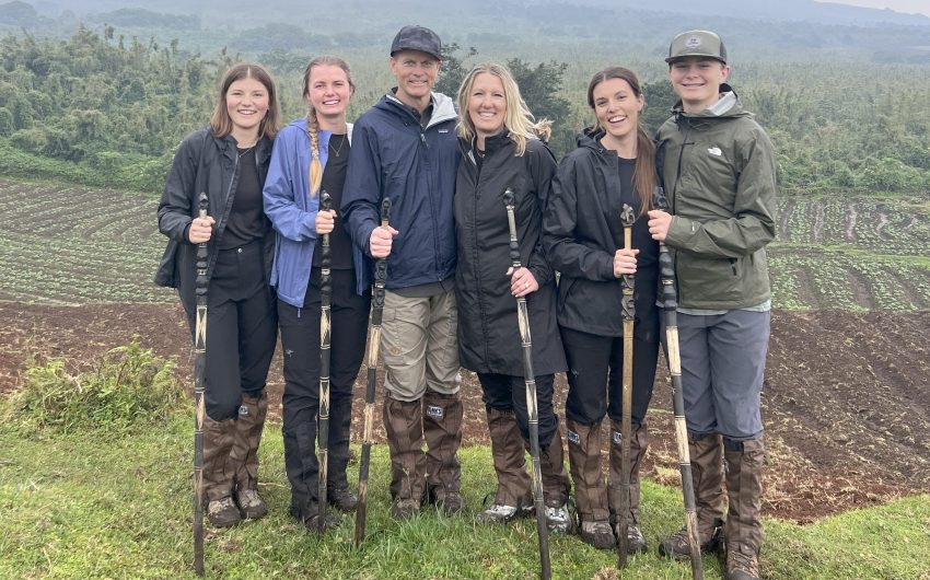 From Summer Nights to School Days