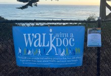 The Doctor Will Walk with You Now