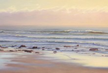 SCAPE Exhibit and Benefit