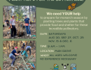 Volunteer Opportunity: Tree Planting at Ellwood Mesa