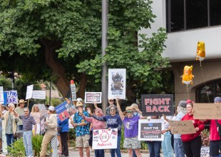 ‘Fight the Trump Takeover’ Takes Over Upper State