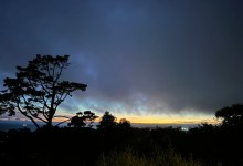 Full Belly Files | Memories and Wineries in the Santa Cruz Mountains