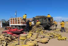 Gifford Fire Containment Grows to 97 Percent