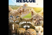 Wild Rescue Film