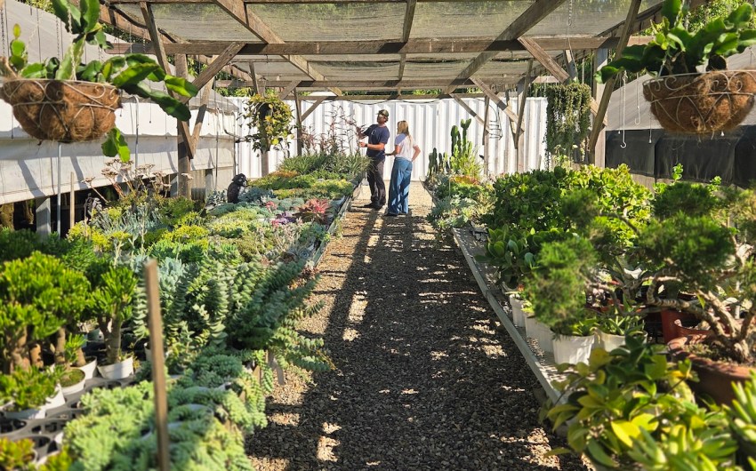 Walking Around Grandfolia’s World of Plants