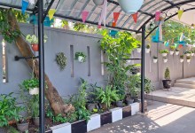 Creating Planted Corridors Is Helping Insects Thrive