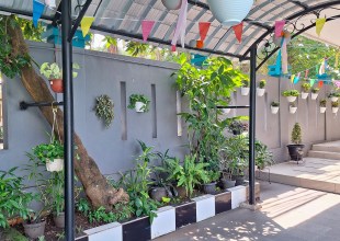 Creating Planted Corridors Is Helping Insects Thrive