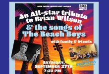 Good Vibrations at Beach Boys Charity Concert