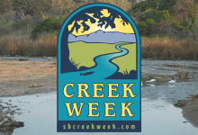 Creek Week Is in Full Swing in Santa Barbara County