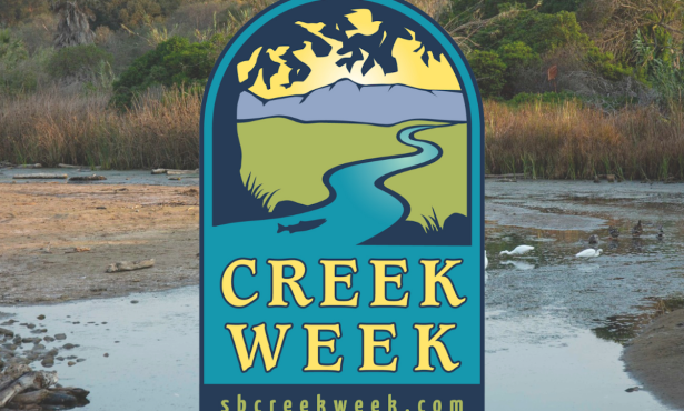 Creek Week Is in Full Swing in Santa Barbara County