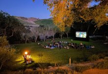 Demetria Estate: Movie Nights in the Vineyard