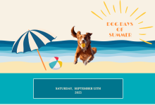 Dog Days of Summer Photo Booth