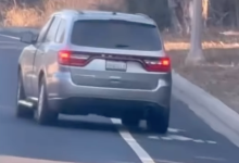 Immigration Arrests Reported in Three Different Central Coast Cities