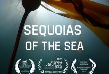 Sequoias of the Sea Screening at SBMM