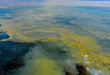Human Impact on the Ocean Will Double by 2050, UCSB Scientists Warn
