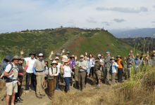 Nature Walks at Elings Park
