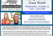 Zoom Conversation: Gray Panthers SB: Staying Sane in a Crazy World