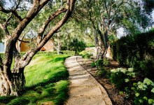 Landscape Design 101 with Katie Gerpheide