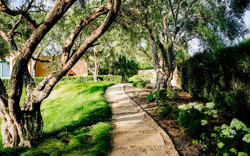 Landscape Design 101 with Katie Gerpheide