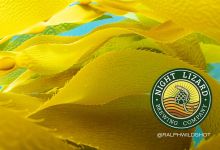 Kelp Forest Trivia Night