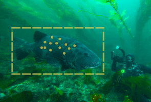 Science Pub: Sea Bass, Selfies & Science