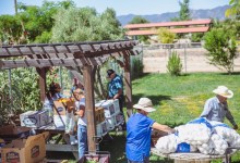 Santa Barbara Foundation Launches Critical Needs Response Fund 