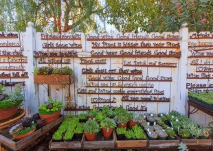 The Home Page | Makeover Magic & More